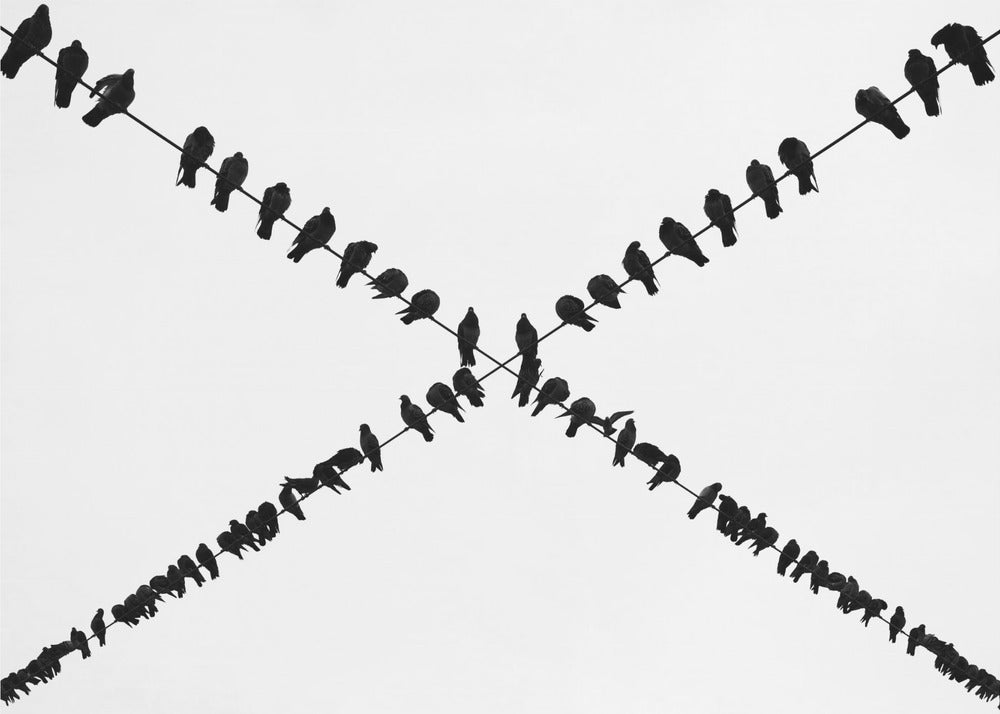 X | Tableaux sur Toile