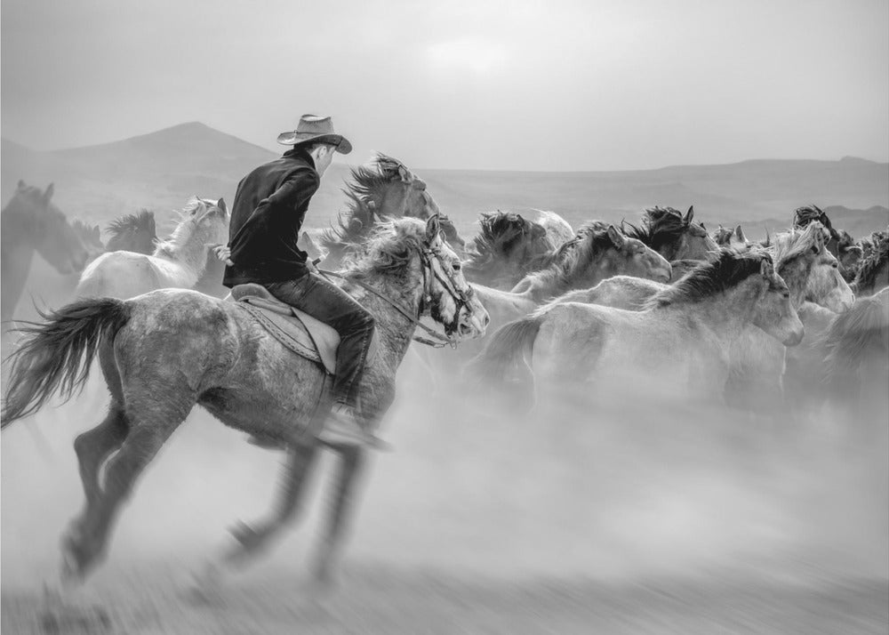 Chevaux sauvages (alias Wild Horses) | Tableaux sur Toile