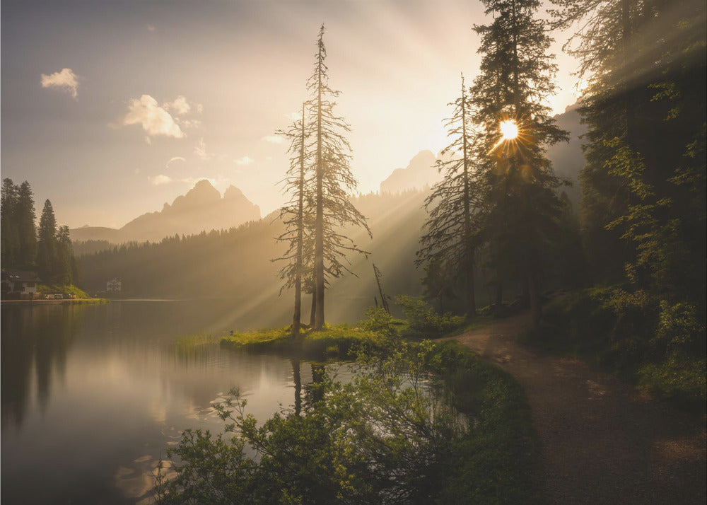 Morgonljus | Tapet