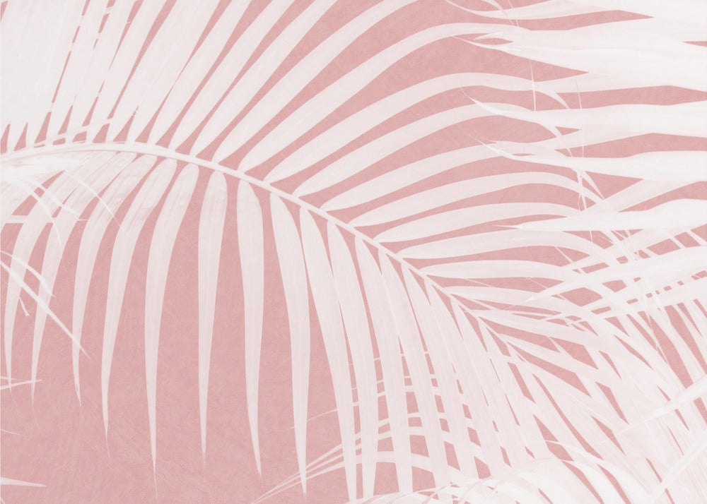 Palmblad på rosa silhuett IV | Tapet
