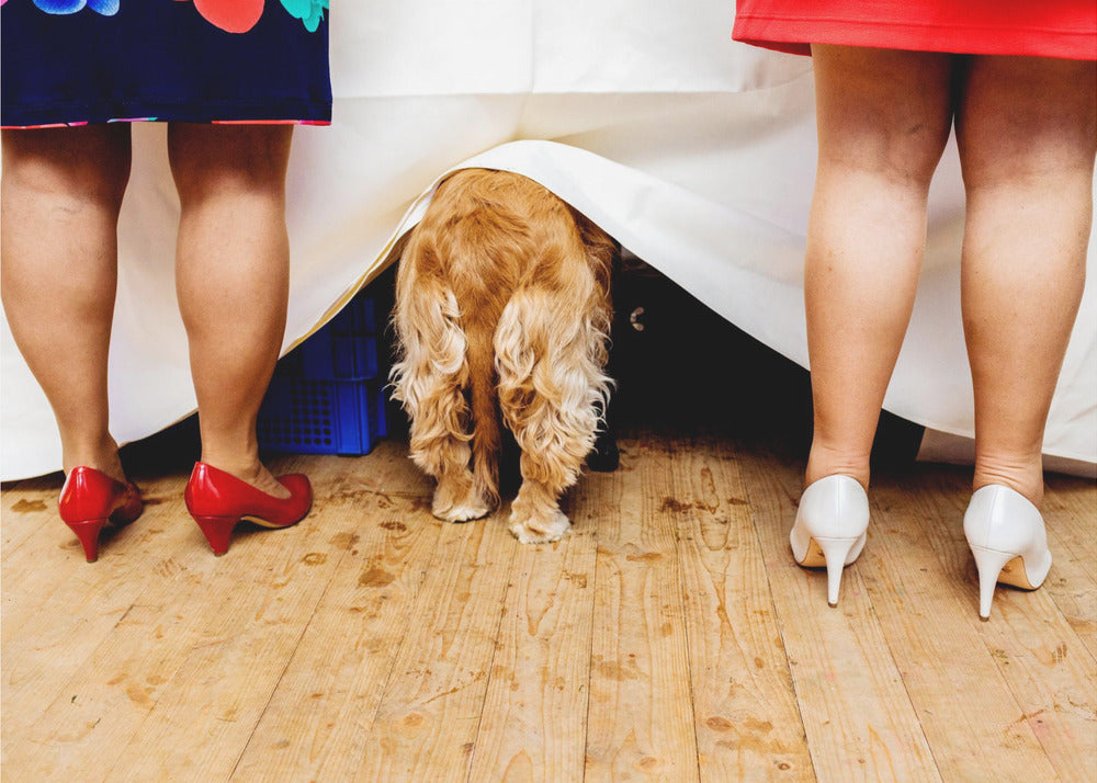 Ladies at the buffet table... | Canvas