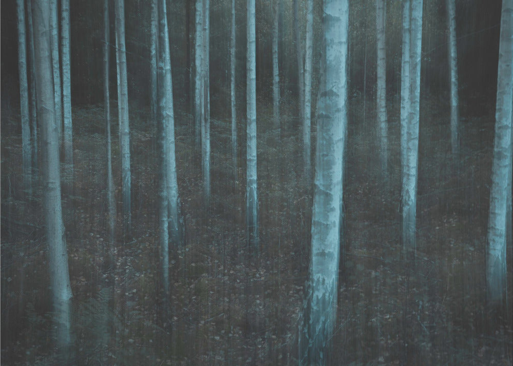ICM v3 | Canvas