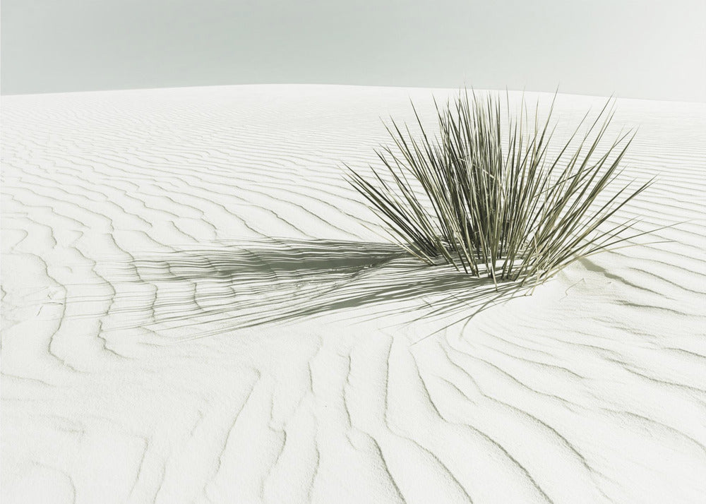 Dune Vintage WHITE SANDS | Tableaux sur Toile