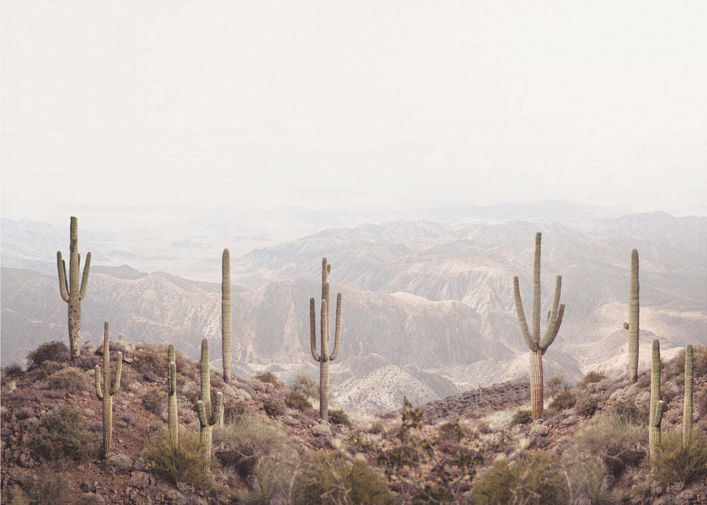 Arizonadalen | Canvastavla
