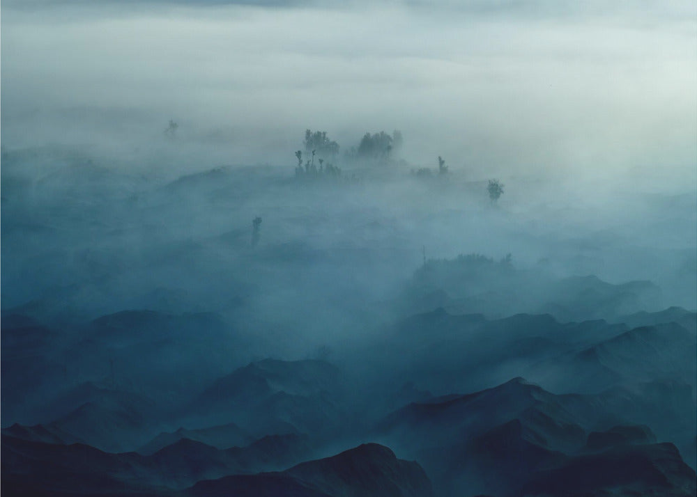 Dimmans land | Poster