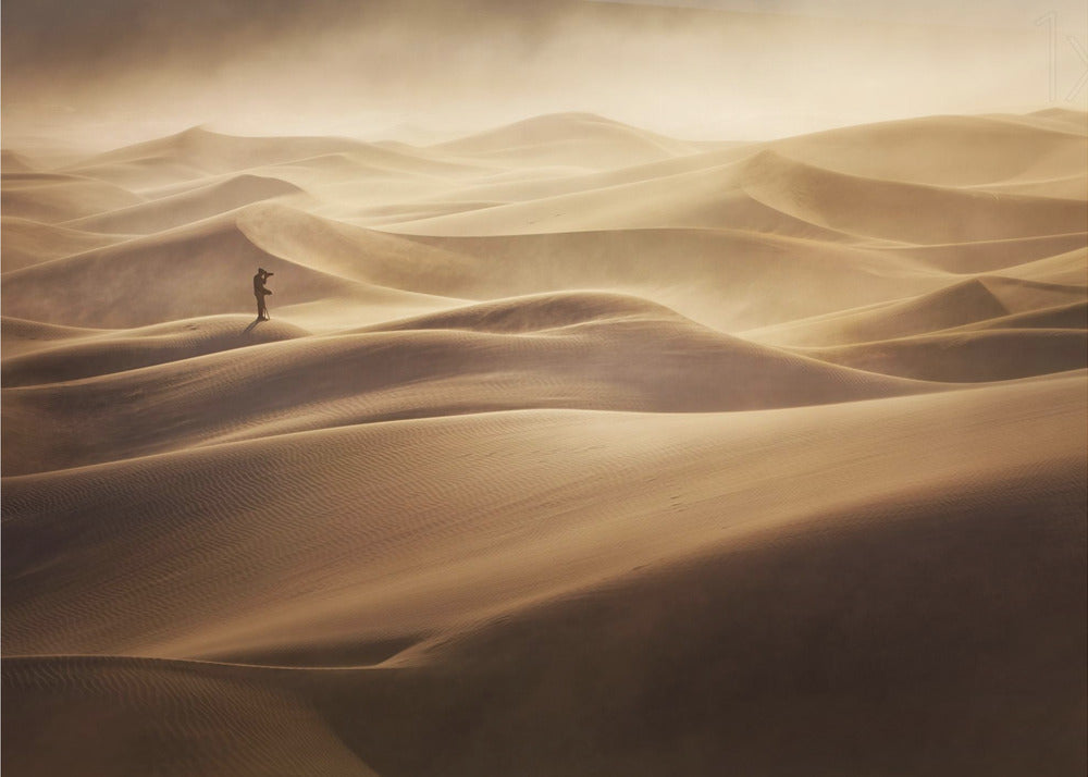 Alone | Canvas