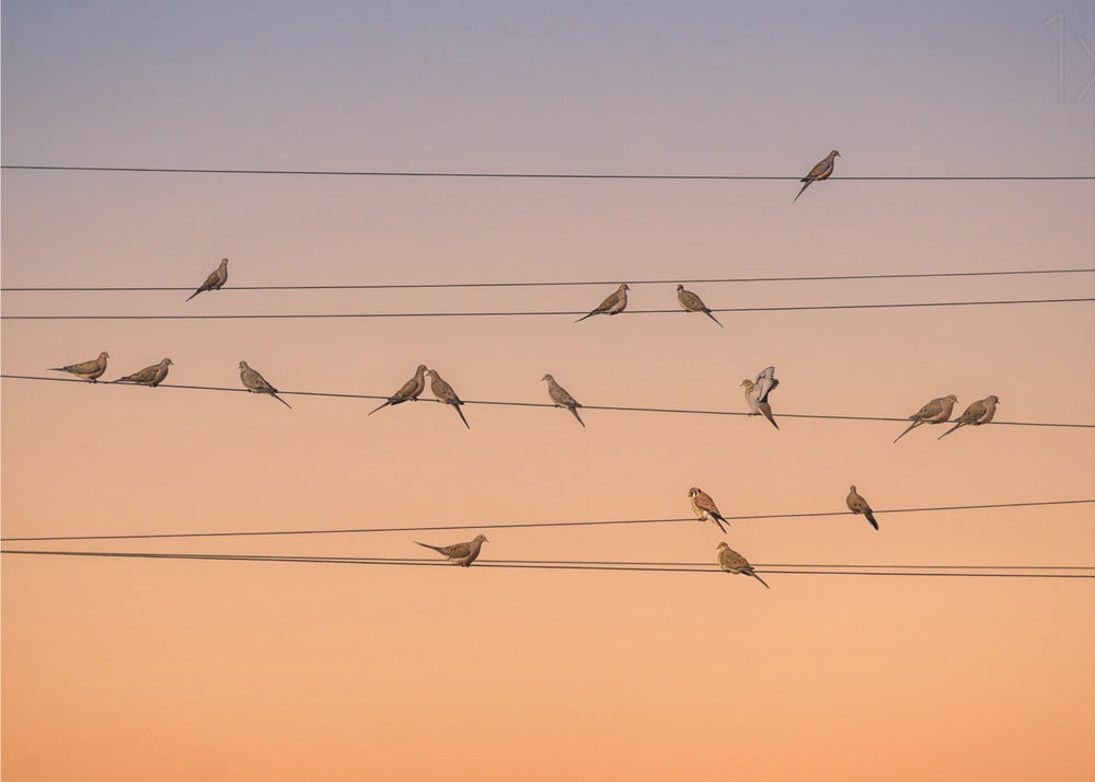 Musik des Lichts | Fototapeten