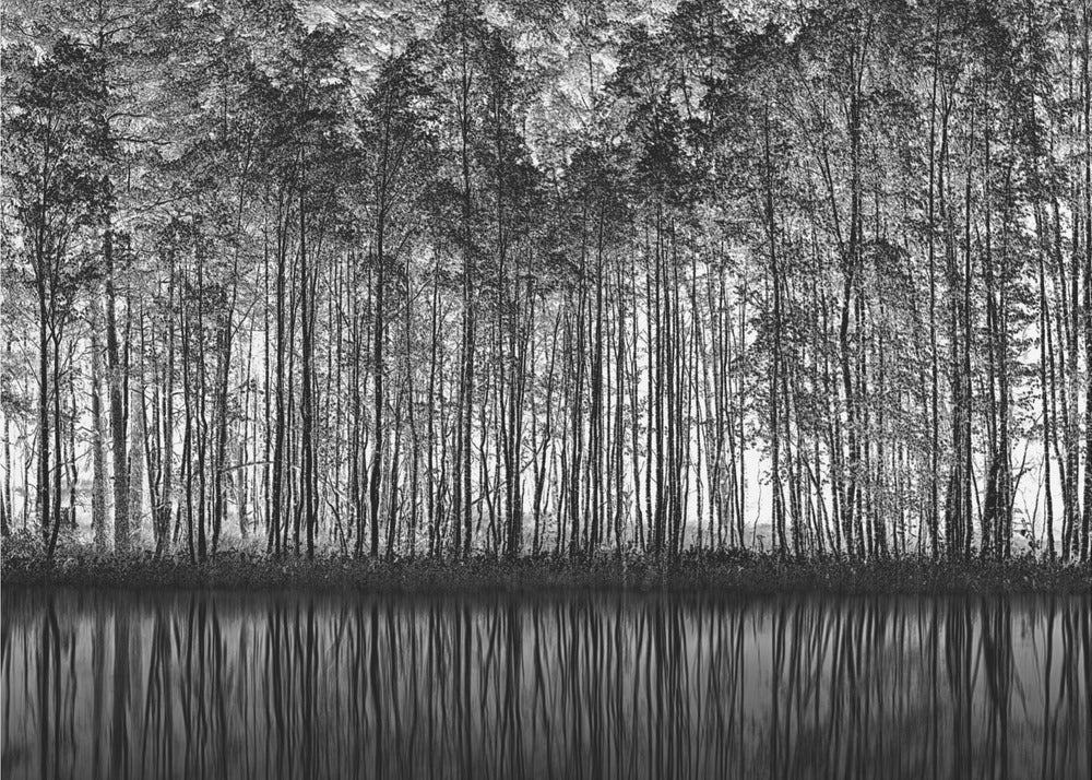 Pointillism Natur | Poster