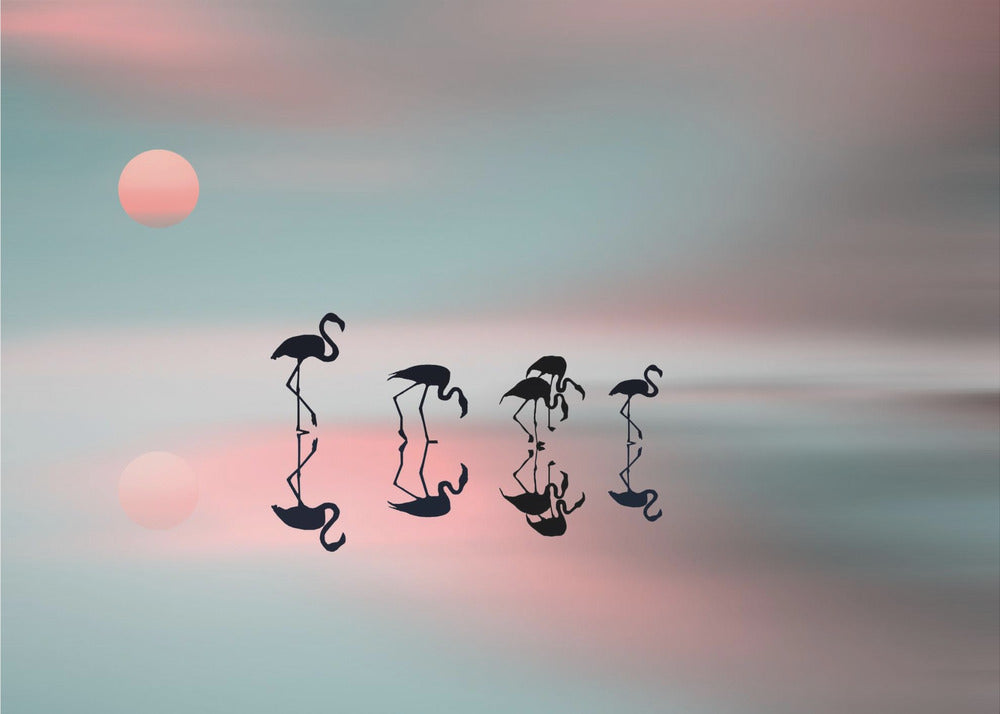 Familj flamingos. | Poster
