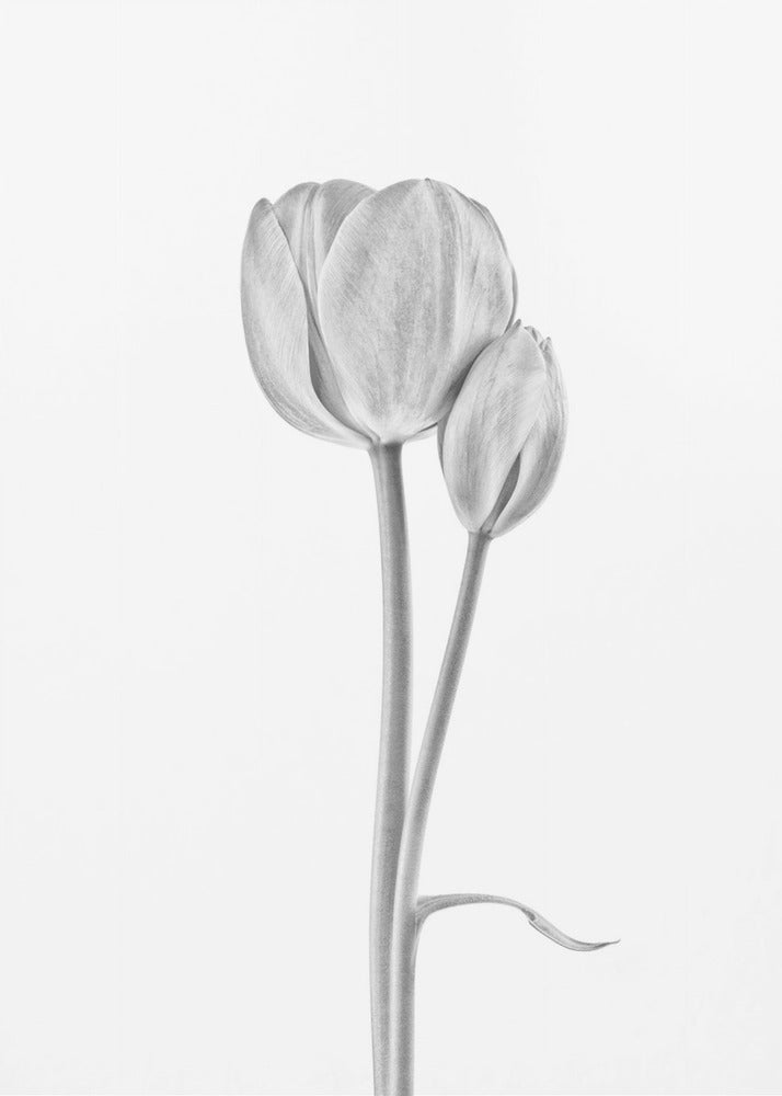 Verbonden | Canvasprints