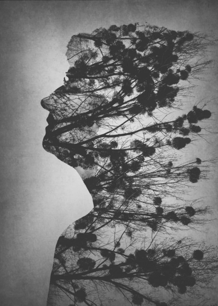 L'essence de la vie | Tableaux sur Toile