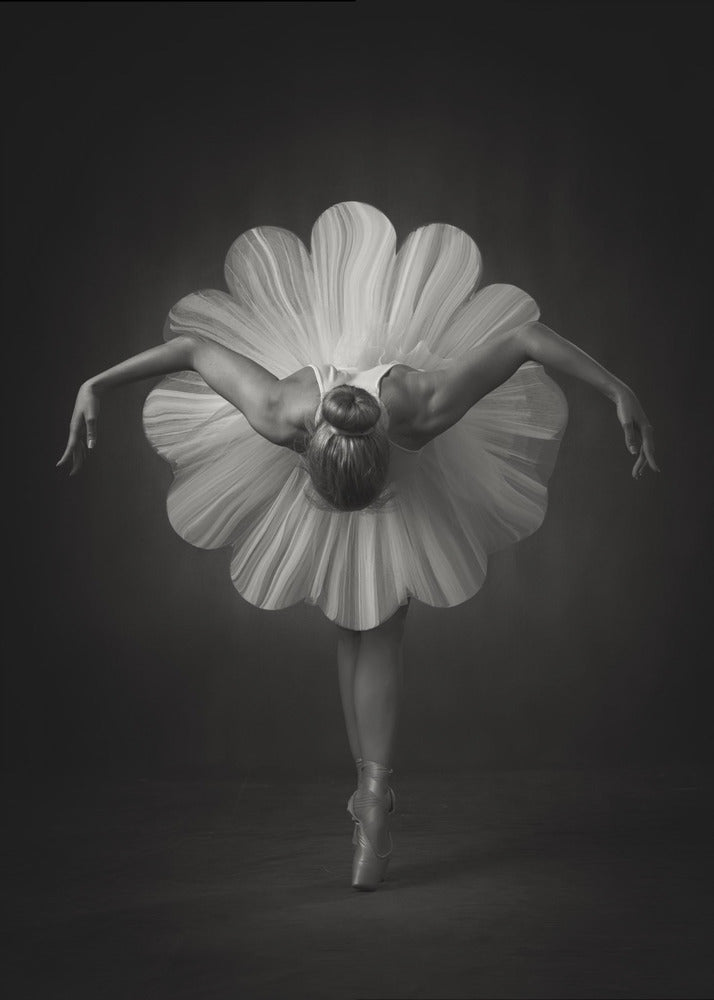 Ballet floral | Tableaux sur Toile