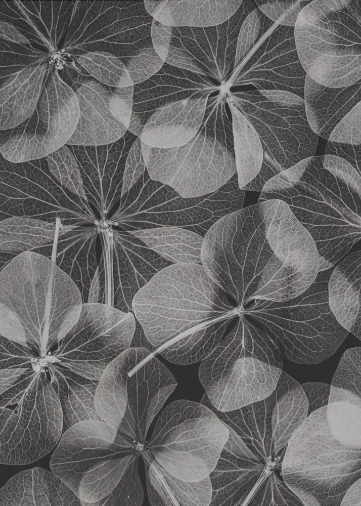 Botanisk #48 | Canvas