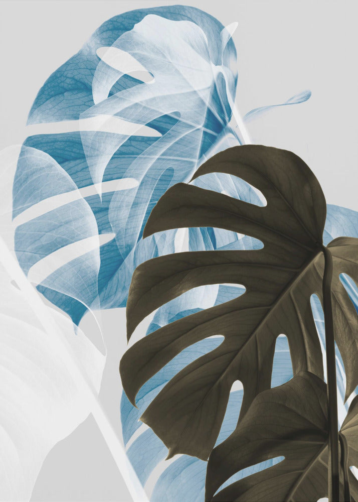 Monstera Kreativ 02 | Canvastavla