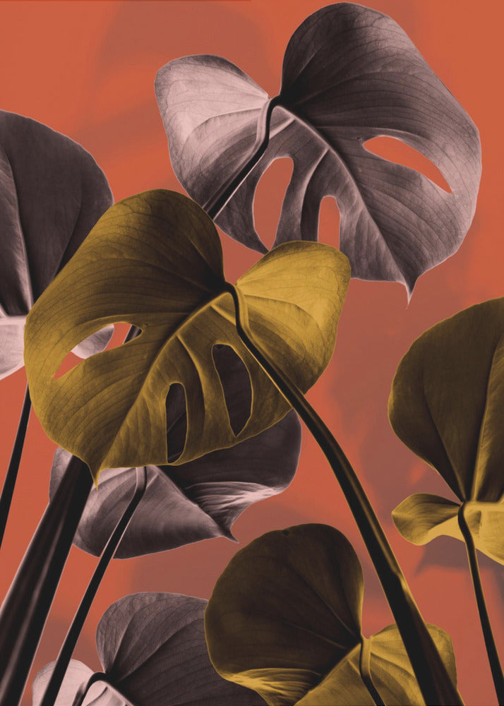 Monstera Orange 01 | Canvastavla