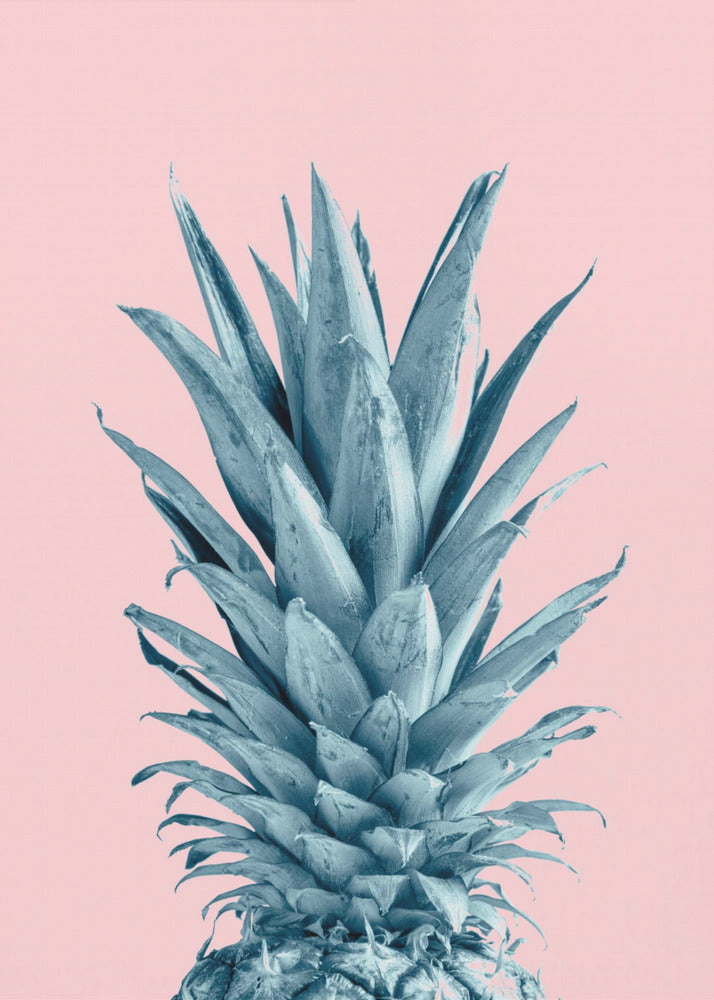 Ananas Roze 06 | Posters - Kunstdrukken