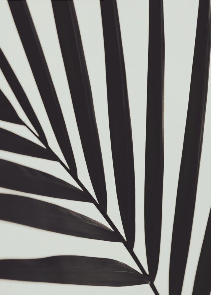 Grafisch palmblad_1 | Canvasprints