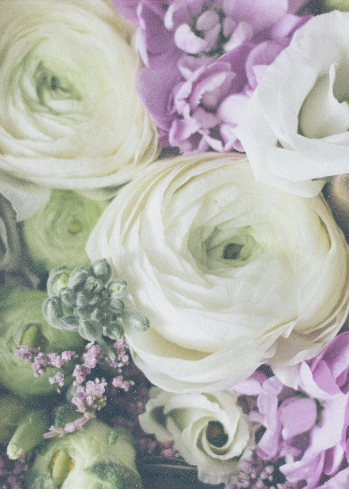 Petals of Elegance | Canvas
