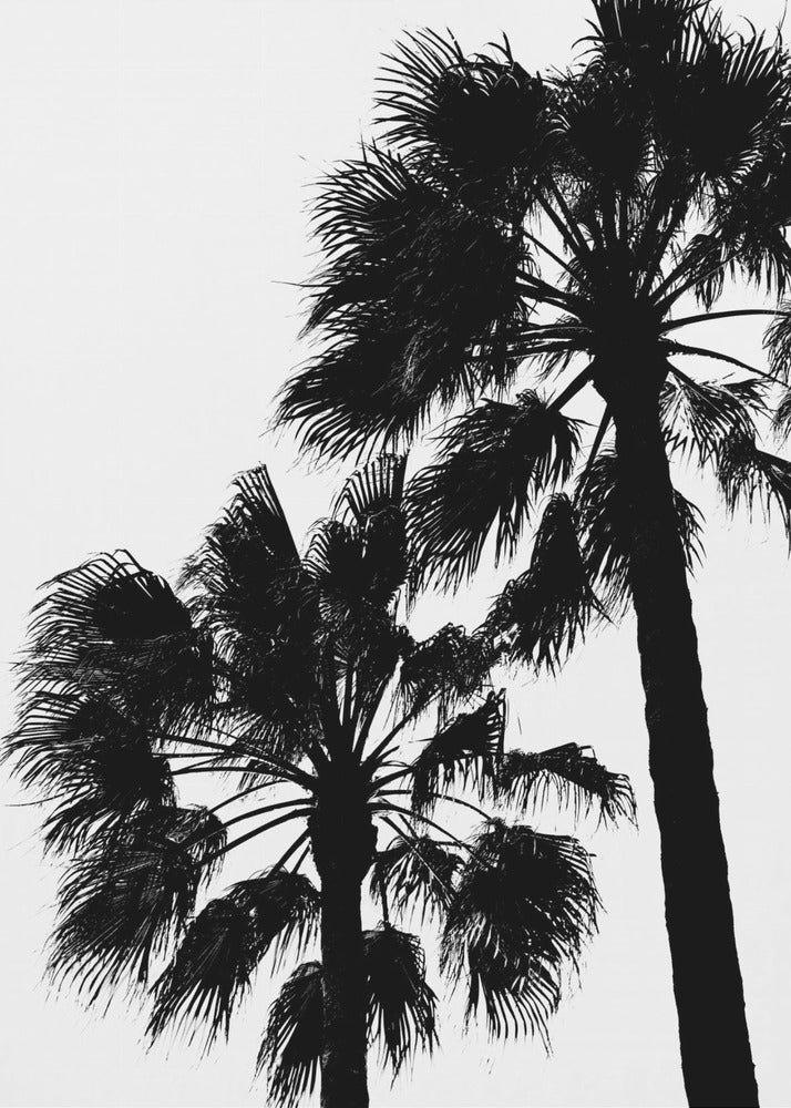 Contraste de paume | Tableaux sur Toile