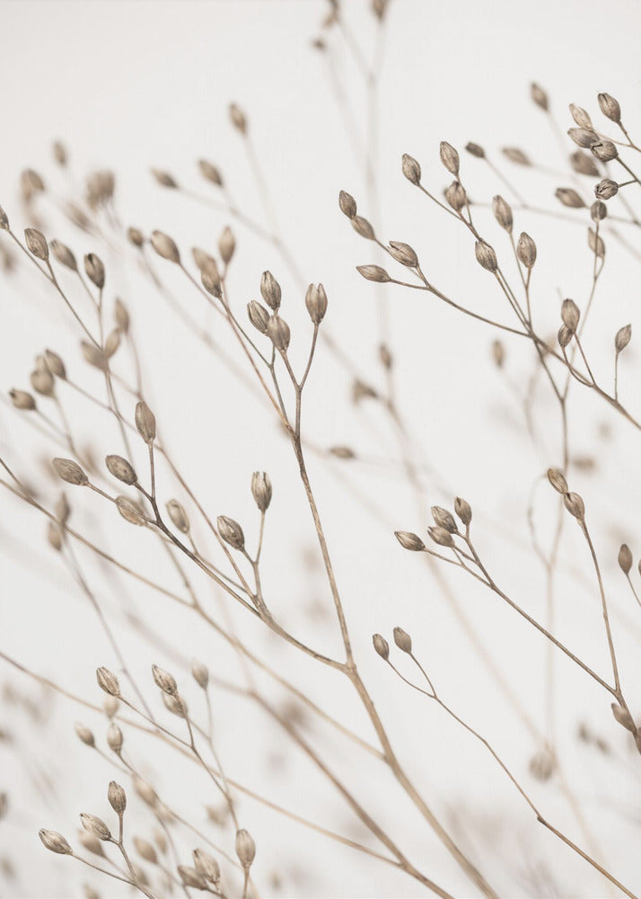 Herbe sauvage | Tableaux sur Toile