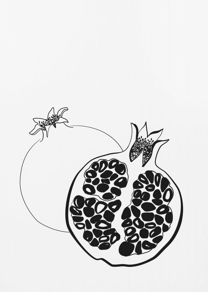 Melograni disegnati a mano | Poster - Stampe d’Arte