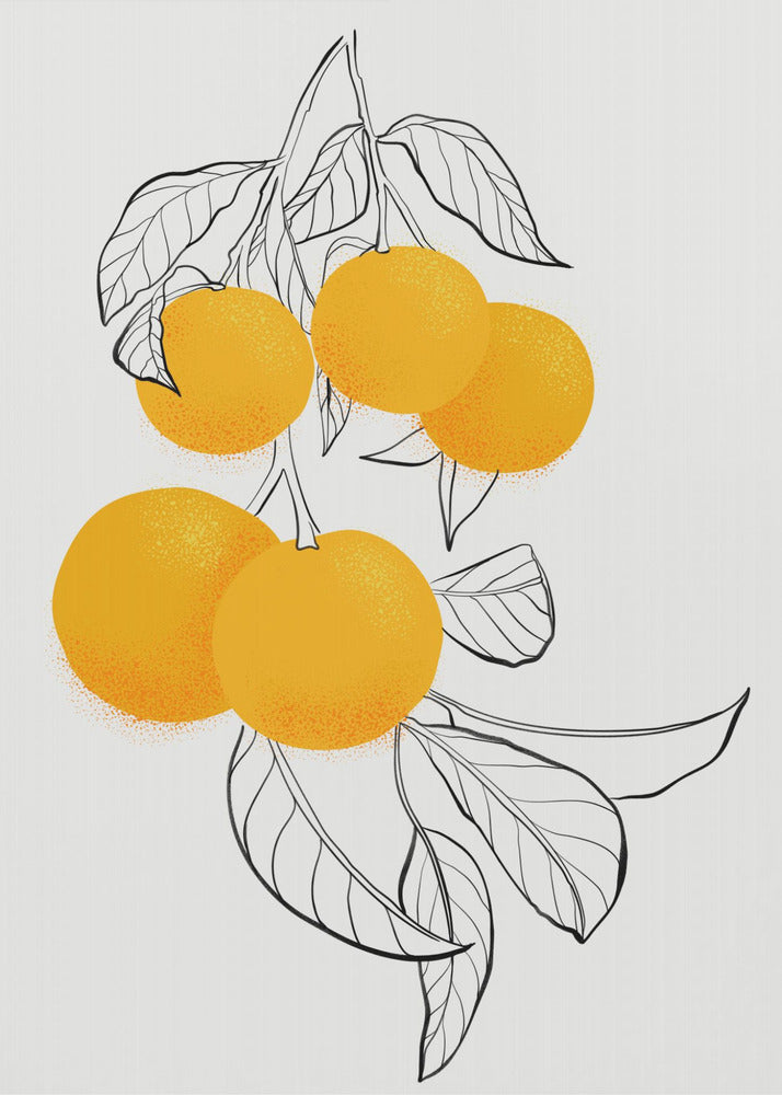 Naranjas mabel | Posters - Impresiones de Arte