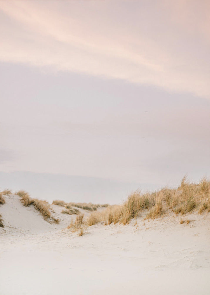 Ameland Dunes 3 | Canvas