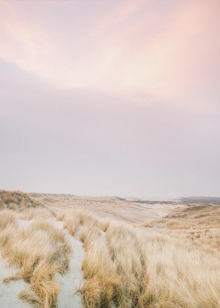 Ameland Dunes 1 | Canvas