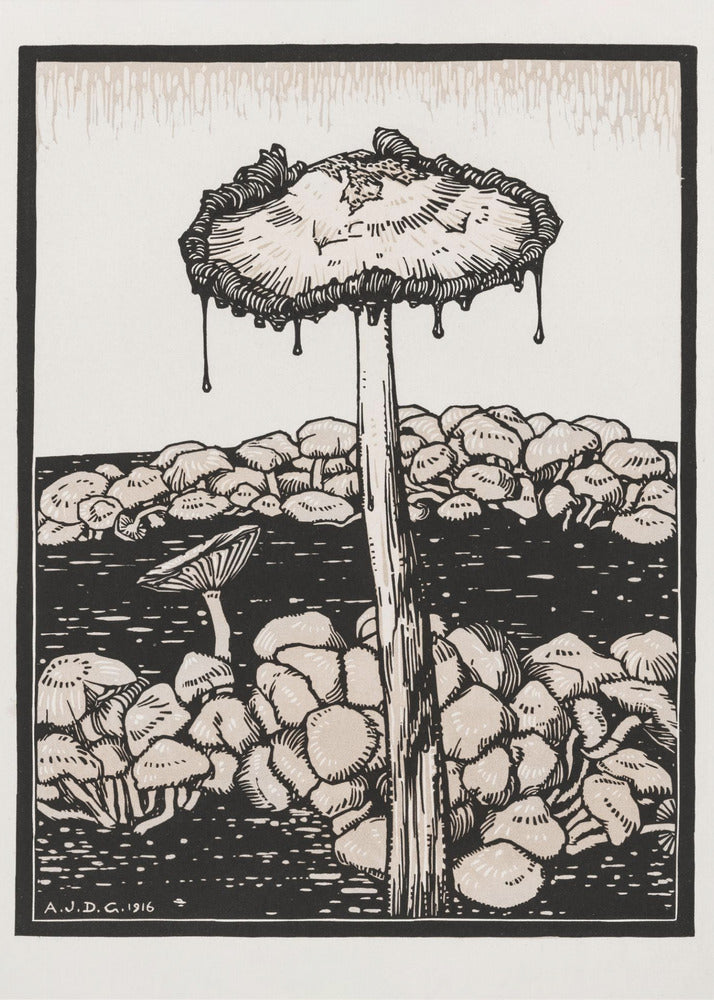 Droppande svamp 1916 | Duk