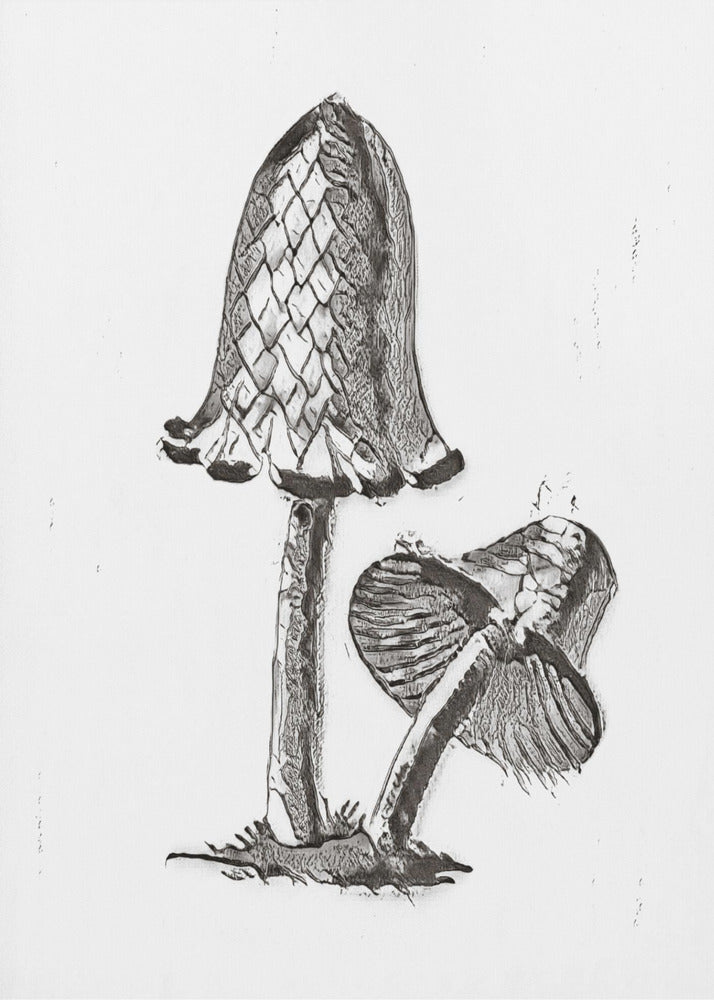 Vintage Inky Cap Ätbar Svamp B/W Ljus | Canvas