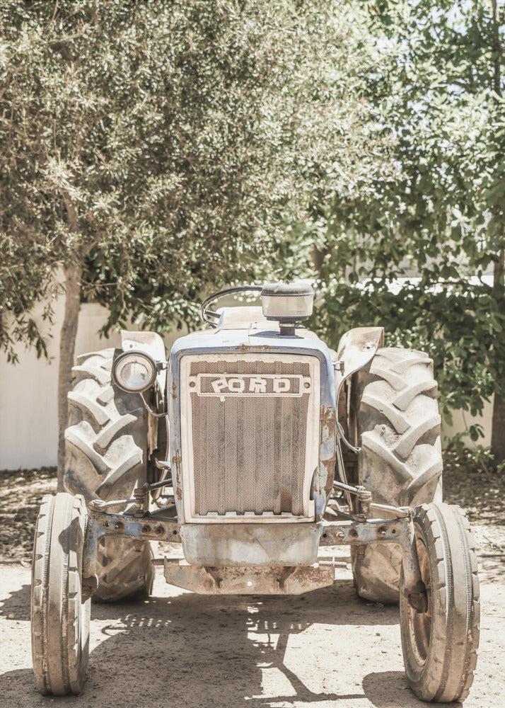 Ford | Canvastaulut