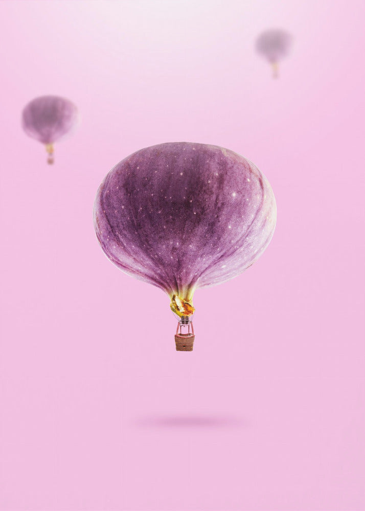 Figs Ballons | Poster