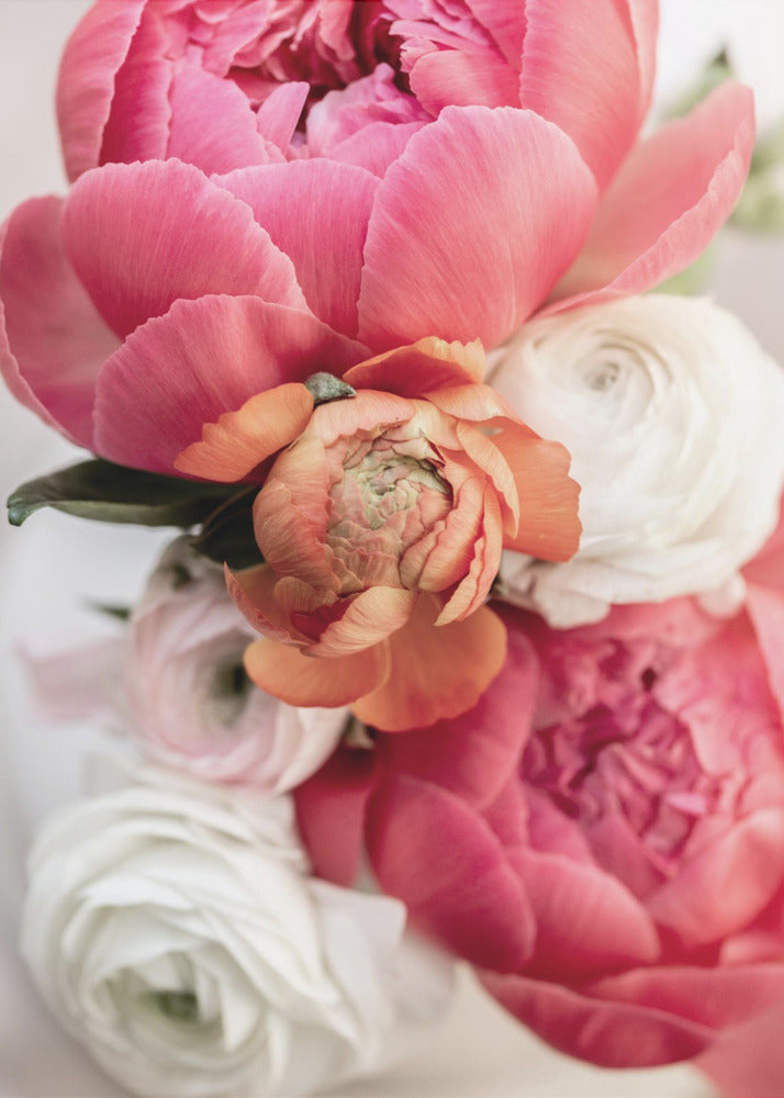 Spring Flowers 1 | Canvas