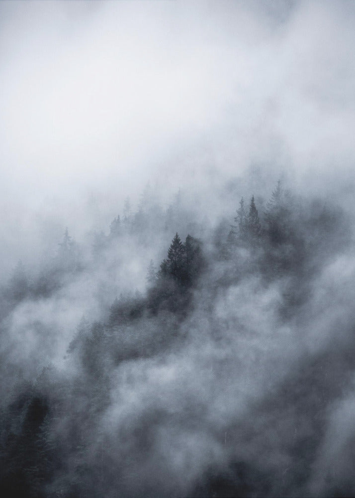 Nebliger Morgen 3 | Leinwand-Bilder