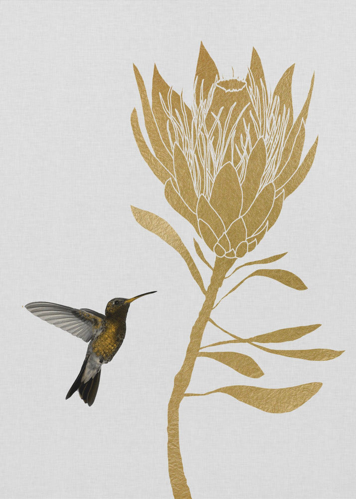 Kolibri & Blomma I | Canvas