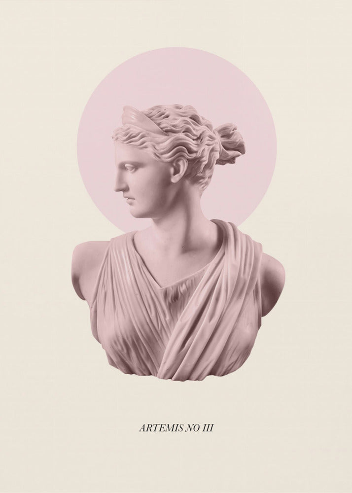 Rosa Artemis med gloria | Poster