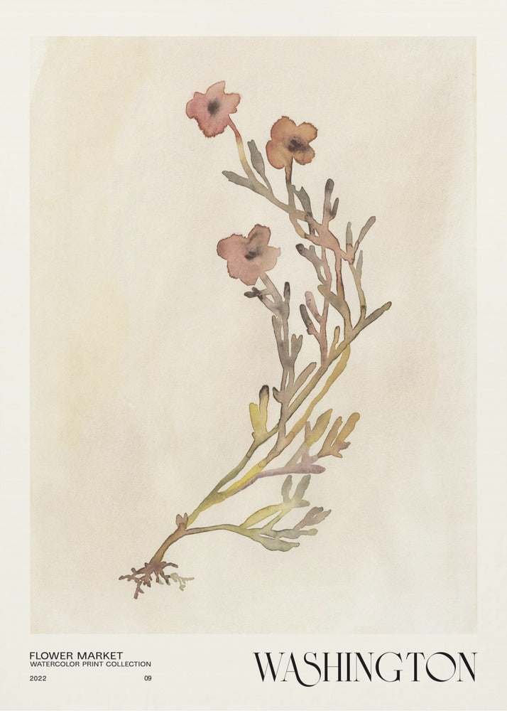 Watercolor print collection. Flower market - Washington | Poster