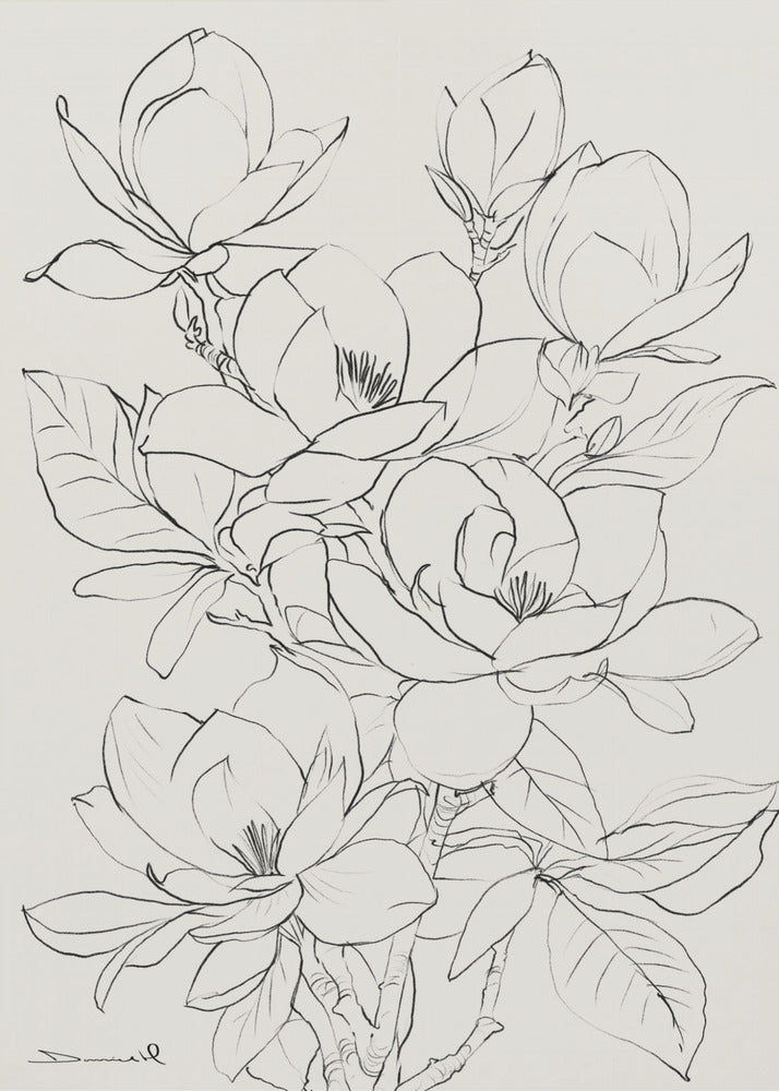 Magnoliaträd | Poster