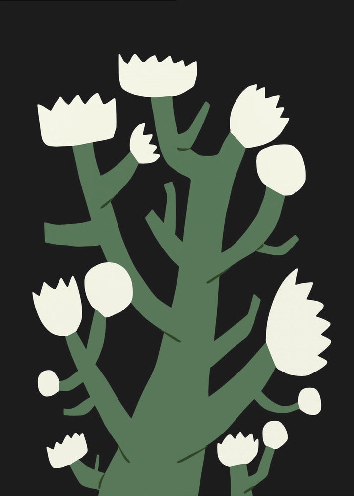Nattlig vit blomma | Poster