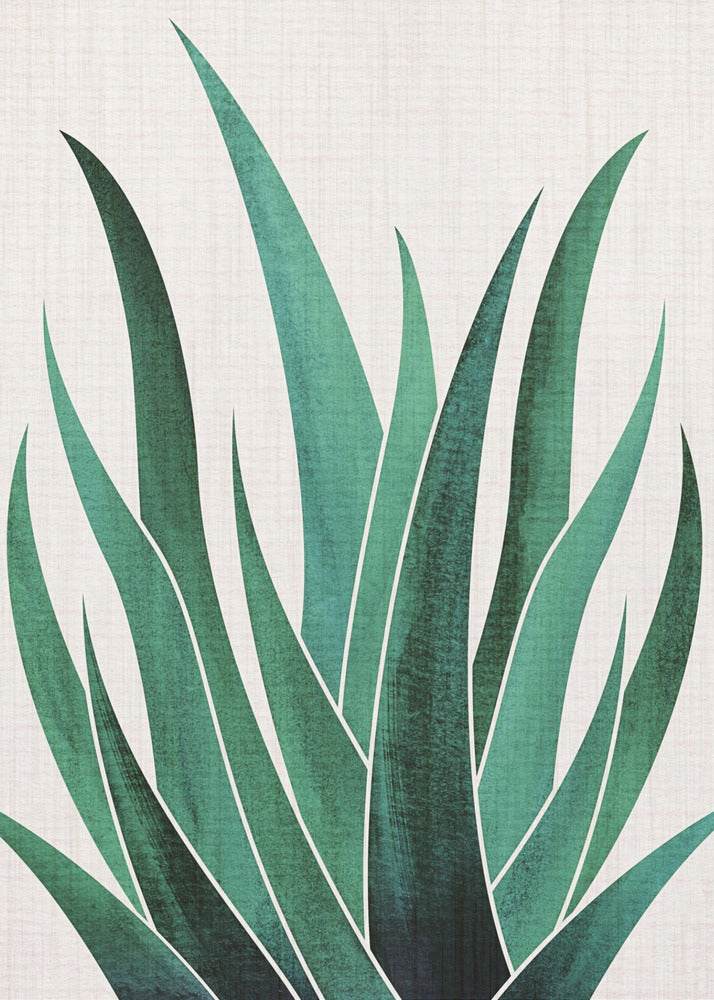 Desert Agave Cactus | Canvas