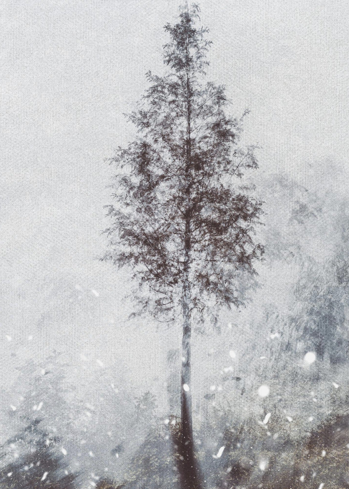 Vävda naturliga drömmar | Canvas