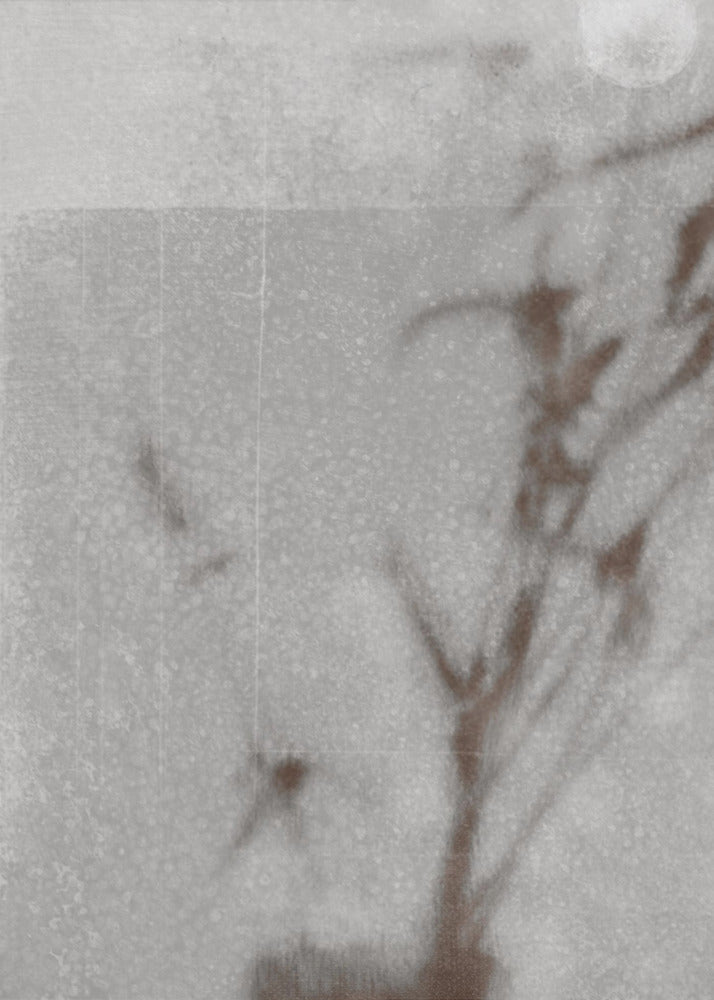 Botanisk silhuett | Canvas