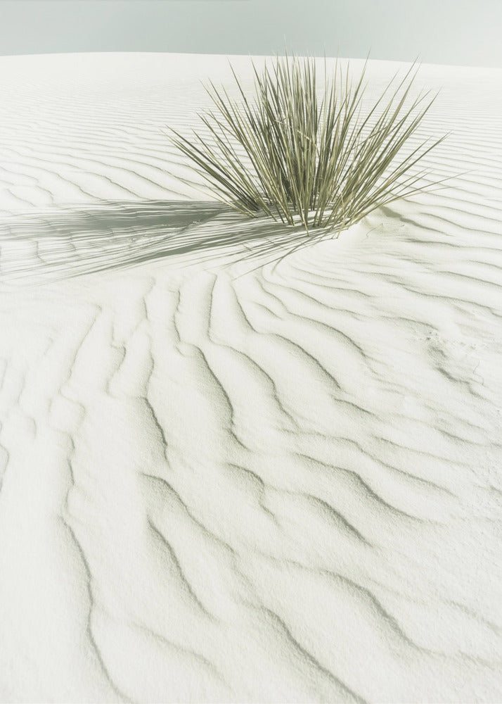 WHITE SANDS Paysage vintage idyllique | Tableaux sur Toile