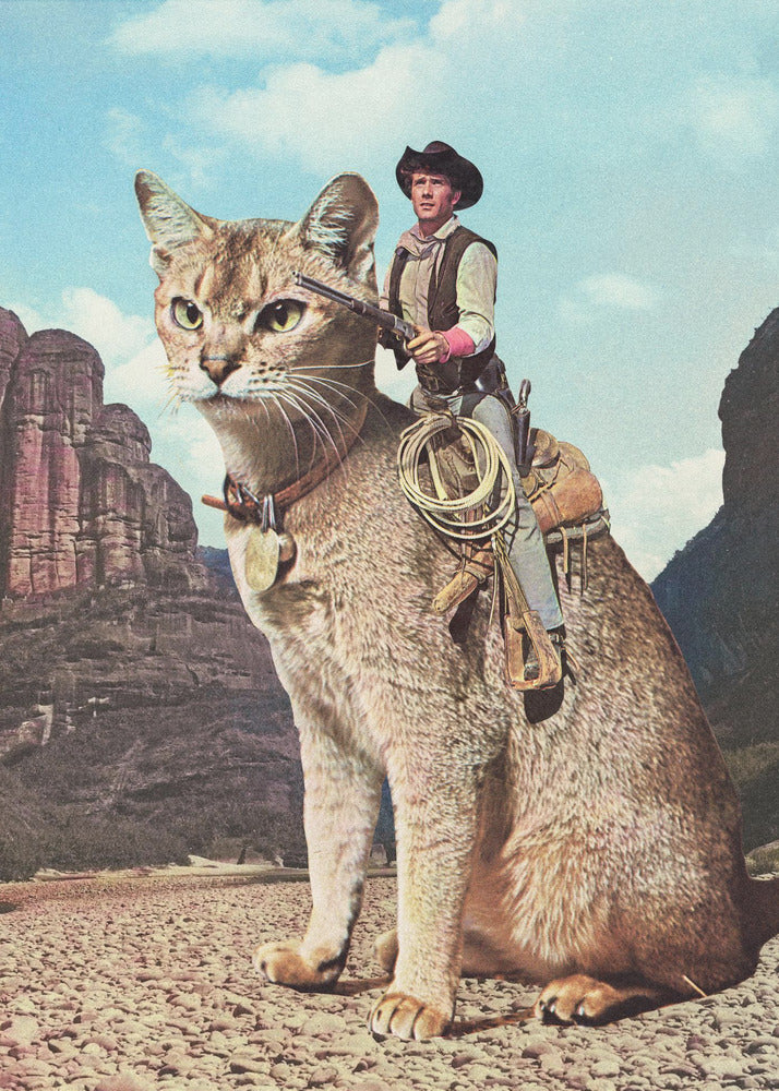 Cat Lone Ranger | Canvas
