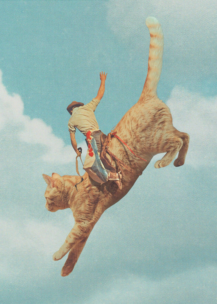 Meehaw Rodio Cat | Canvas