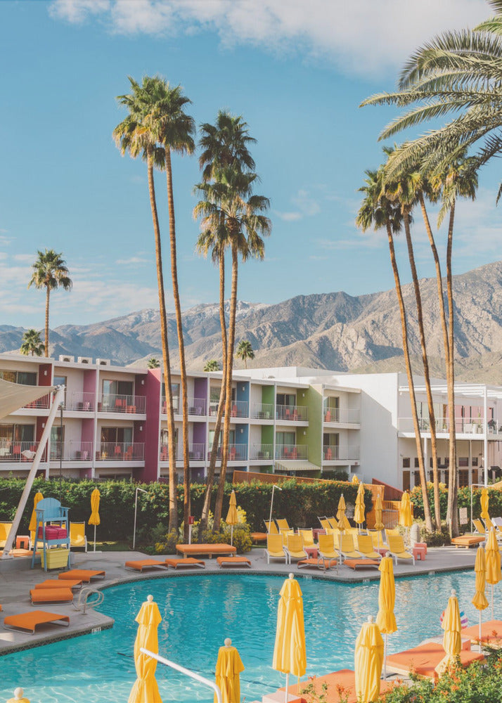Palm Springs Saguaro | Canvas