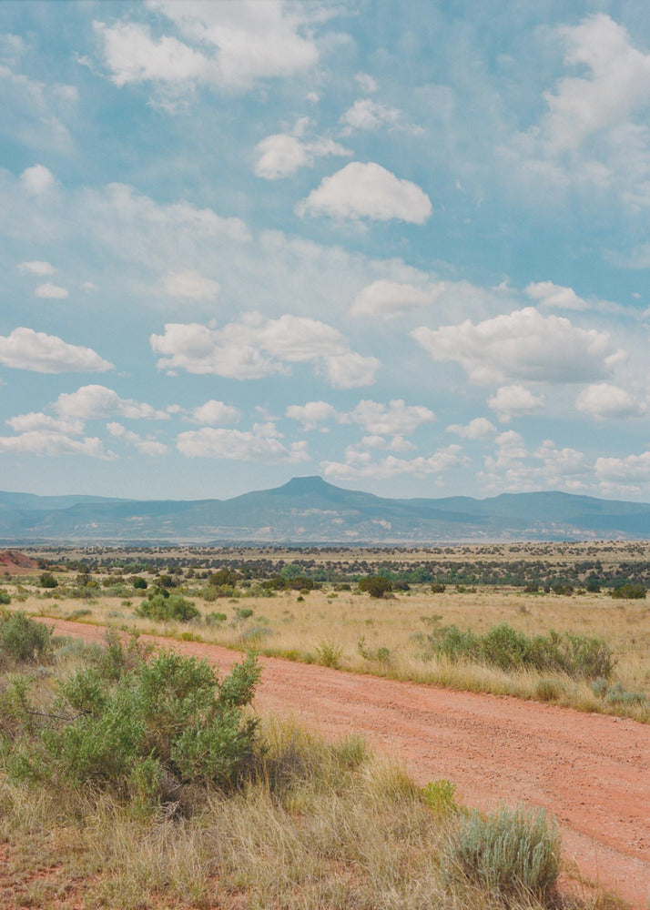 Ghost Ranch II | Canvas