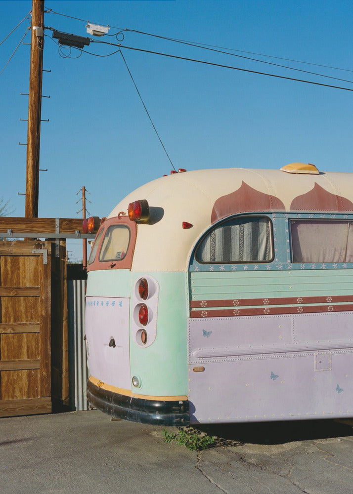 Joshua Tree -bussi | Canvastaulut