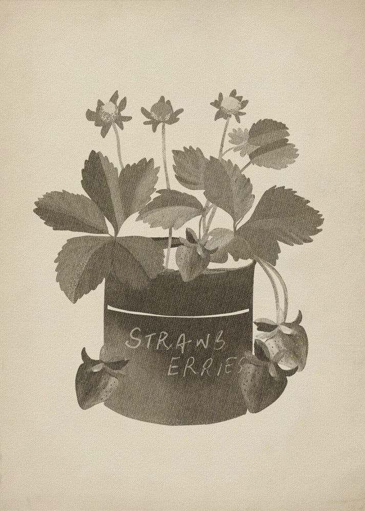 Vintage jordgubbsplanta | Poster