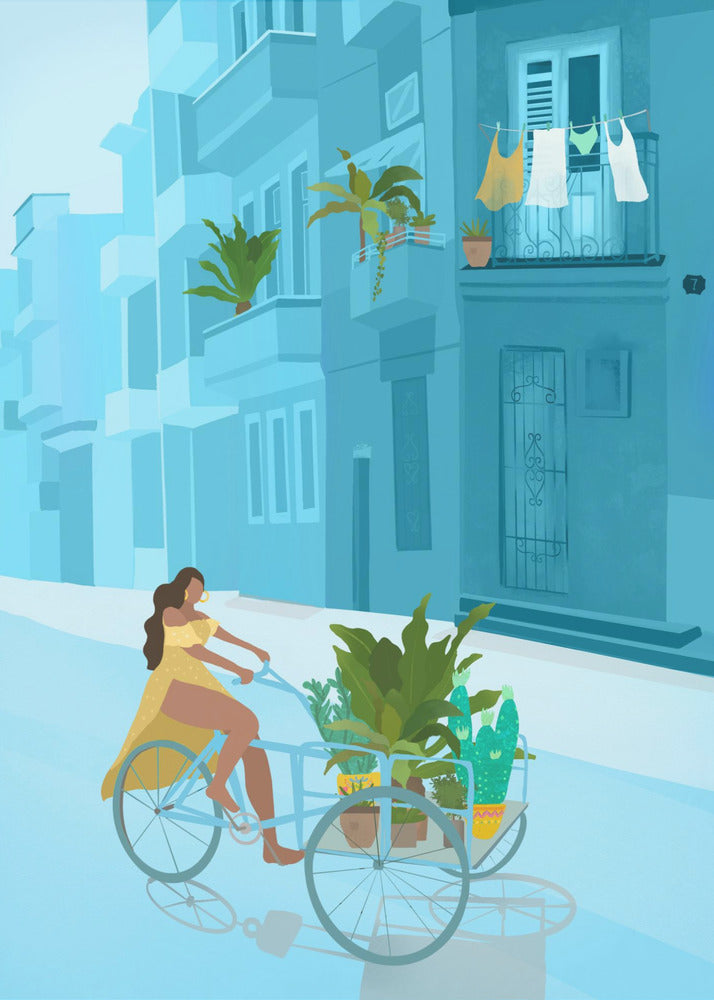 Havanna | Canvas
